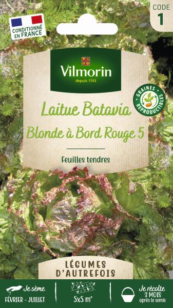 Potagères - Laitue Batavia Blonde à Bord Rouge 5 - Légumes d'Autrefois - PACKAGING_RECTO